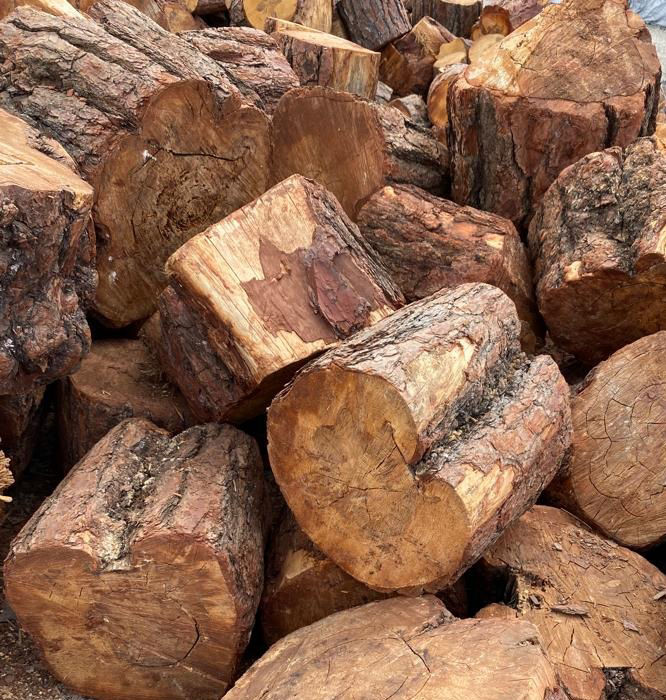 καυσόξυλα πεύκου